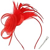 AMCAMI Fascinators Hats with Feather for Women 2026 Derby Hats Small Tea Party Hat with Headband
