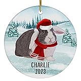 Santa Hat and Scarf Welcome Winter Dutch Mini Lop