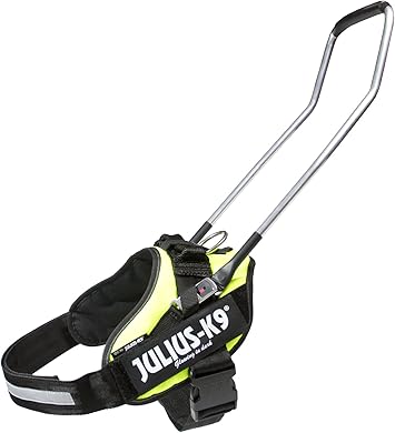 julius k9 fitting guide