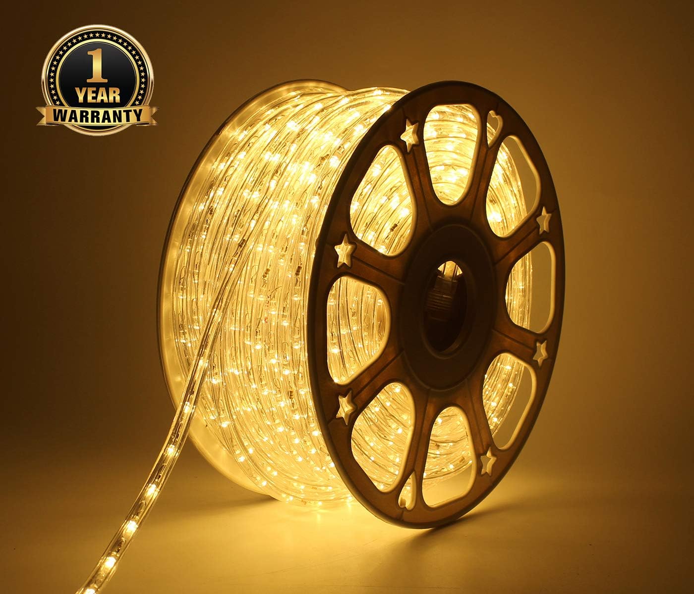 LED Rope Lights Outdoor Indoor Rope Lighting Waterproof, 110V Plug in Rope Light