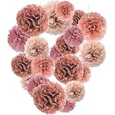 Capesaro Blush Pink, Dusty Rose Gold Paper Pom Poms - Tissue Pom Poms Decorations for Party Wedding Hanging Decor - 16 Piece Set