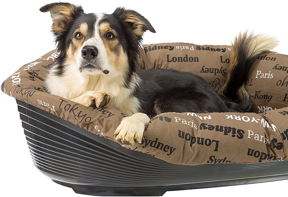 Ferplast Plastic Dog Bed, Cat Bed with Cushion SOFA' 6 in Washable Cotton, Dog Bed with Padded Cushion - Image 4