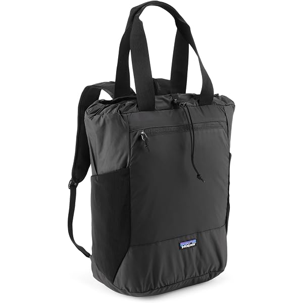 Patagonia Black Hole Mini MLC 30L