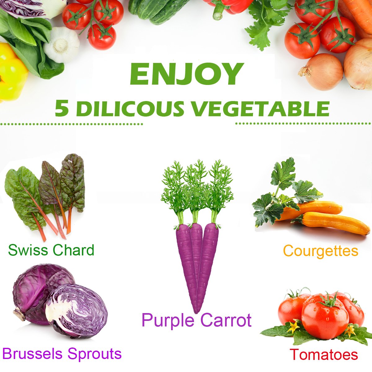 Vegetable Garden Seed Growing Starter Kit Indoor for Kids Easily Grow 5 Fresh Veggie Garden Kit Tomatoes,Purple Carrot,Rainbow Chard,Brussel Sprout Shipping from US