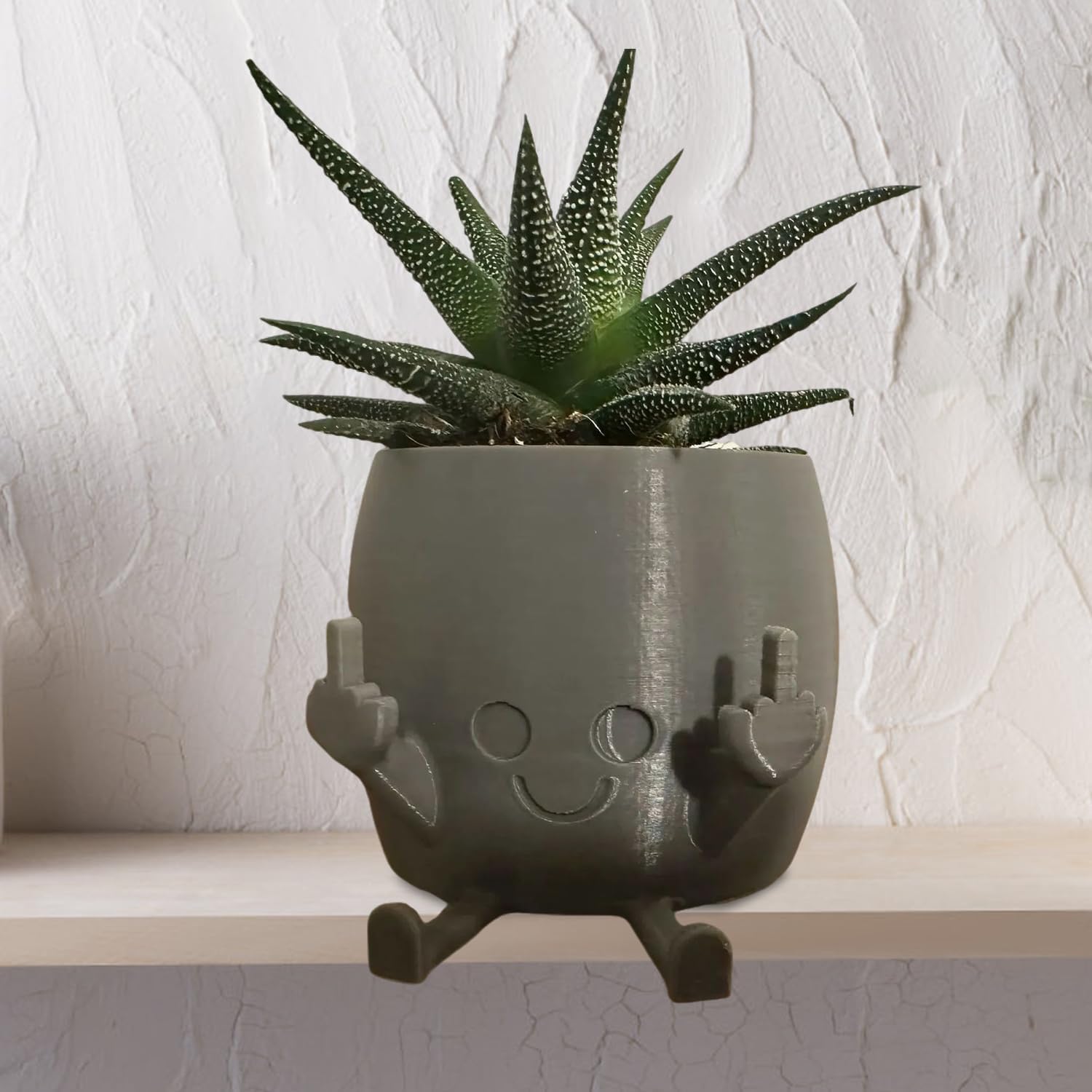 LengSuaa Smiling Plant Pot with Middle Fingers up, Creative Shaped Figure Resin Mini Pot Table Decor, Funny Expression Indoor Outdoor Plant Pot for Live Plants Lover (Grey)
