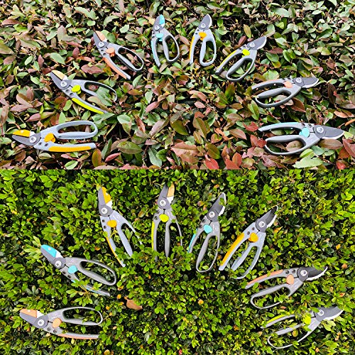 Rainbow Craft 8'' Anvil Pruner Shear, Rose Cutters, Herbs Scissors, Plant Trimming Shears for Garden&Lawn - Blue Color