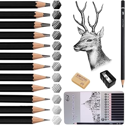 Surcotto 12 Pencils Sketching Set 4H-14B with Eraser Sharpener Iron Box