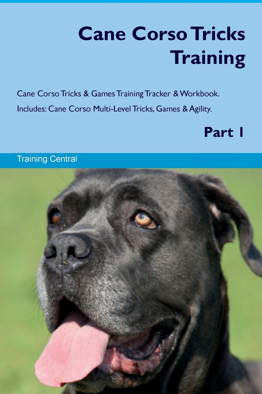 Cane Corso Tricks Training Cane Corso Tricks Games