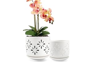 LITUDISO Orchid Pots with Holes, 5+6 Inch Orchid Pots with Drainage Holes and Tray, Effective Drainage and Ventilation to Assist New Plants or Repotting, Indoor/Outdoor Flower Pots -White