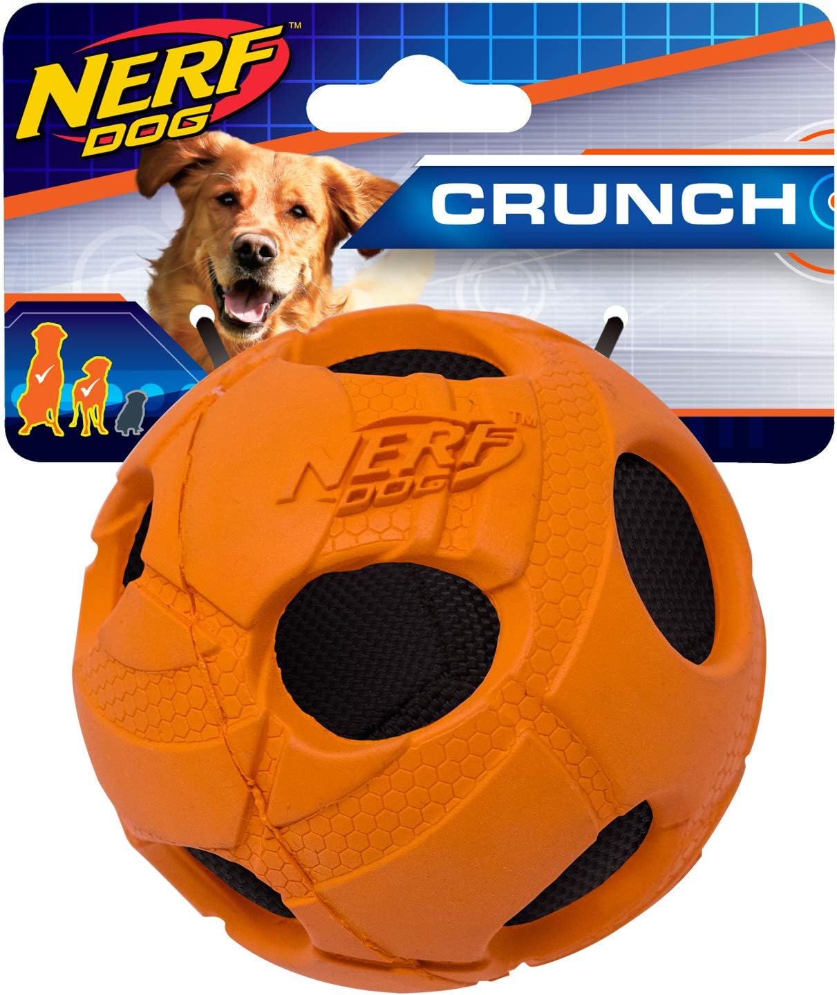 baby poodles for adoption