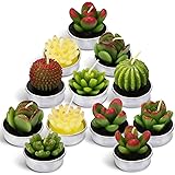 Cactus Tea Lights Candles, Terrarium Candle Gift Set for Mothers Day Christmas Gifts, Smokeless Handmade Cute Gifts Candles f