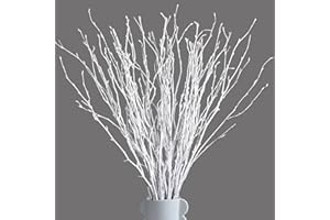 ONING 50Pcs Dried White Birch Twigs Branches - 100% Natural 17” Painted Birch for Christmas, Wedding, Vases Filler, Sticks for Centerpiece, Floral Arrangement, Twig Wreath, Rustic Decor