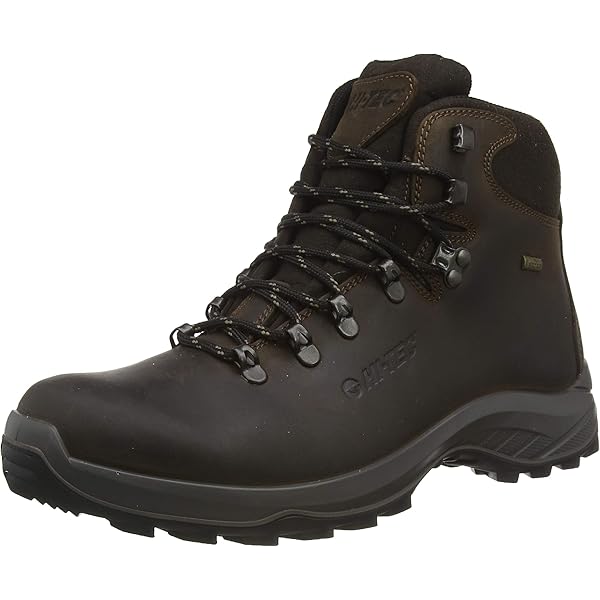 Waterproof Backpacking Boots ASOLO TPS 520 GV EVO Men's