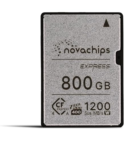 Amazon.com: Delkin Devices 960GB Black CFexpress Type A Memory