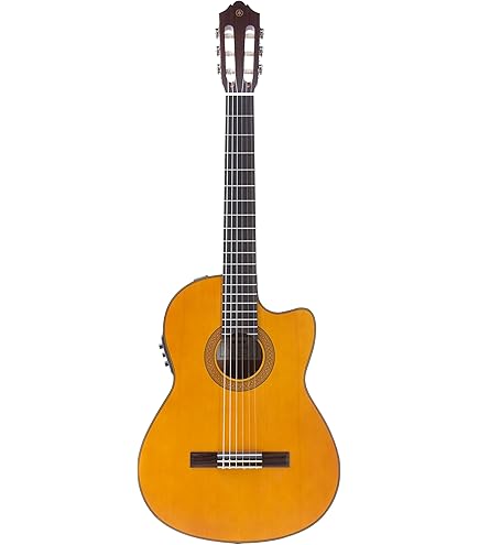 Godin Conjunto de guitarra elétrica acústica estilo Jazz 5th