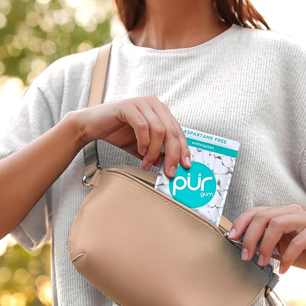 PUR GUM | ASPARTAME FREE CHEWING GUM | 100% XYLITOL | NATURAL WINTERGREEN FLAVORED GUM, 55 PIECES (PACK OF 1)