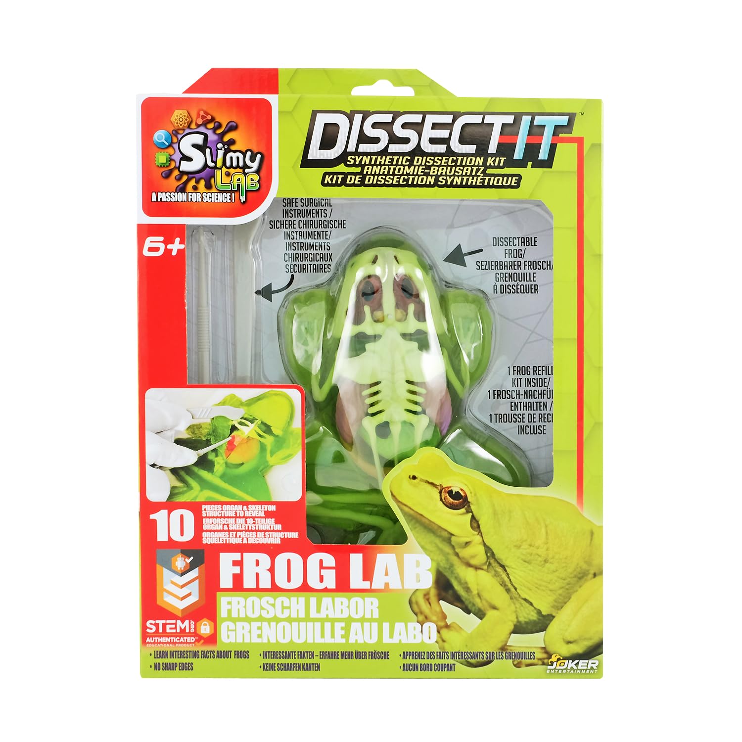 SLIMY Experiment Set Frog - Original Slime Set, Slime Laboratory, Award-winning STEM/Mint Educational Toy, with Play Clay and Dicing Tool (Toy from 6 Years)