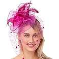 FELIZHOUSE Fascinators for Women Tea Party Hat Birdcage Veil Feather Flower Cocktail Wedding Headband with Clip