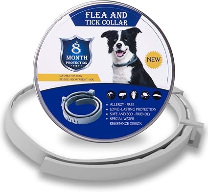 jellycat cordy roy dog