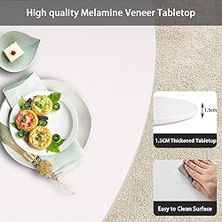 Howhio White Round Dining Table, 24 Inches Tulip