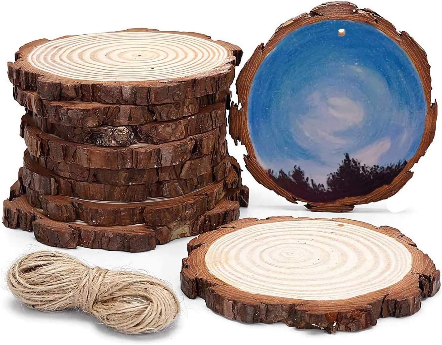Unfinished Round Wood Planks Tree Slices Plaque Slabs 10