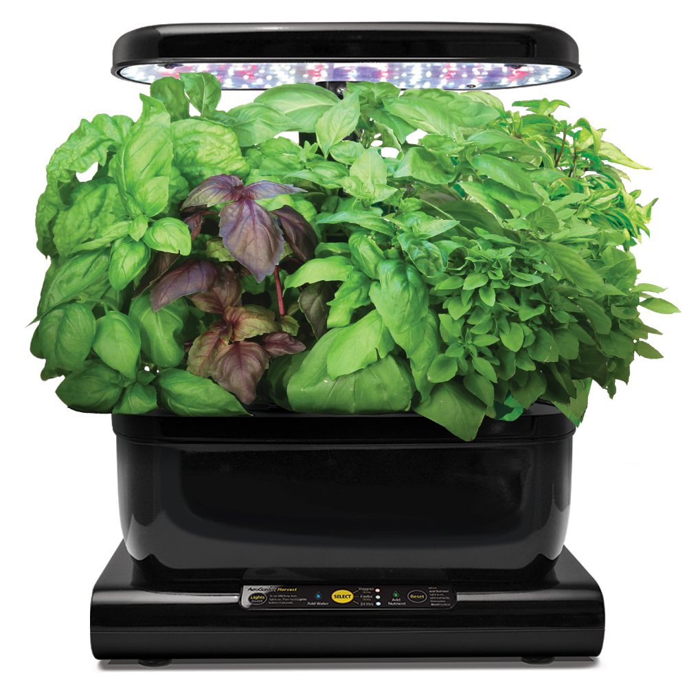 AeroGarden International Basil Seed Pod Kit (6-Pod) | eBay