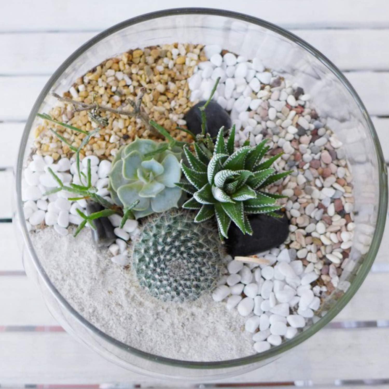 Succulent and Cactus Bonsai DIY Rocks, White Onyx, for Terrarium, Fairy Gardening, Top Dressing, 1.5lb … : Garden & Outdoor
