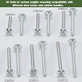 AMLOOPH M4 60-Pack Cabinet Screw Assortment 25-50mm Zinc Plated view 5