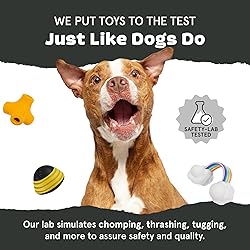 Barkbox Super Chewer Tough Dog Chew Toys for