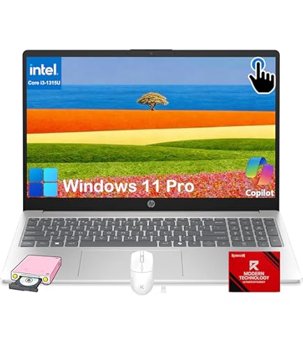 Amazon.com: HP ProBook 450 G10 15.6