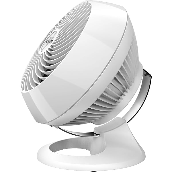 Vornado CR1-0253-43 460 - Small Whole Room Air Circulator Fan, White :  Amazon.ca: Home