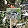 Shaddock-Fishing–10pcs-137g-Fishing-Lures-Hard-Minnow-Baits-Topwater-Floating-Life-like-Swimbait-Fishing-Lures-Bass-Crankbait-Tackle