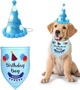 SUOXU Dog Birthday Bandana Hat Set Cotton Triangle Scarf Small Medium Dogs view 1