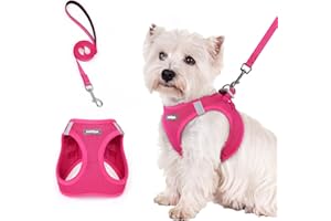 rabbitgoo Dog Harness Small Breed and Leash, Step in Soft Light Puppy Vest, Breathable Mesh No Pull Pet Harness, Reflective f