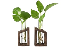 IVOLADOR I Ivolador Test Tube Propagation Stations Pothos Planter Terrarium Container Perfect for Propagating Hydroponic Plants Home Office Garden Decor Wedding -2 PCS