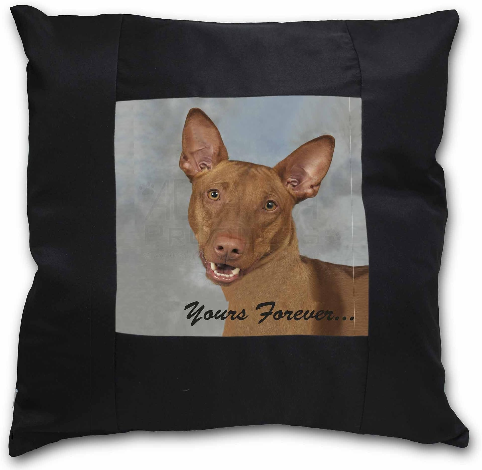 Advanta Group Pharaoh Hound 'Yours Forever' Black Border Satin Feel Cushion Cover With Pillow