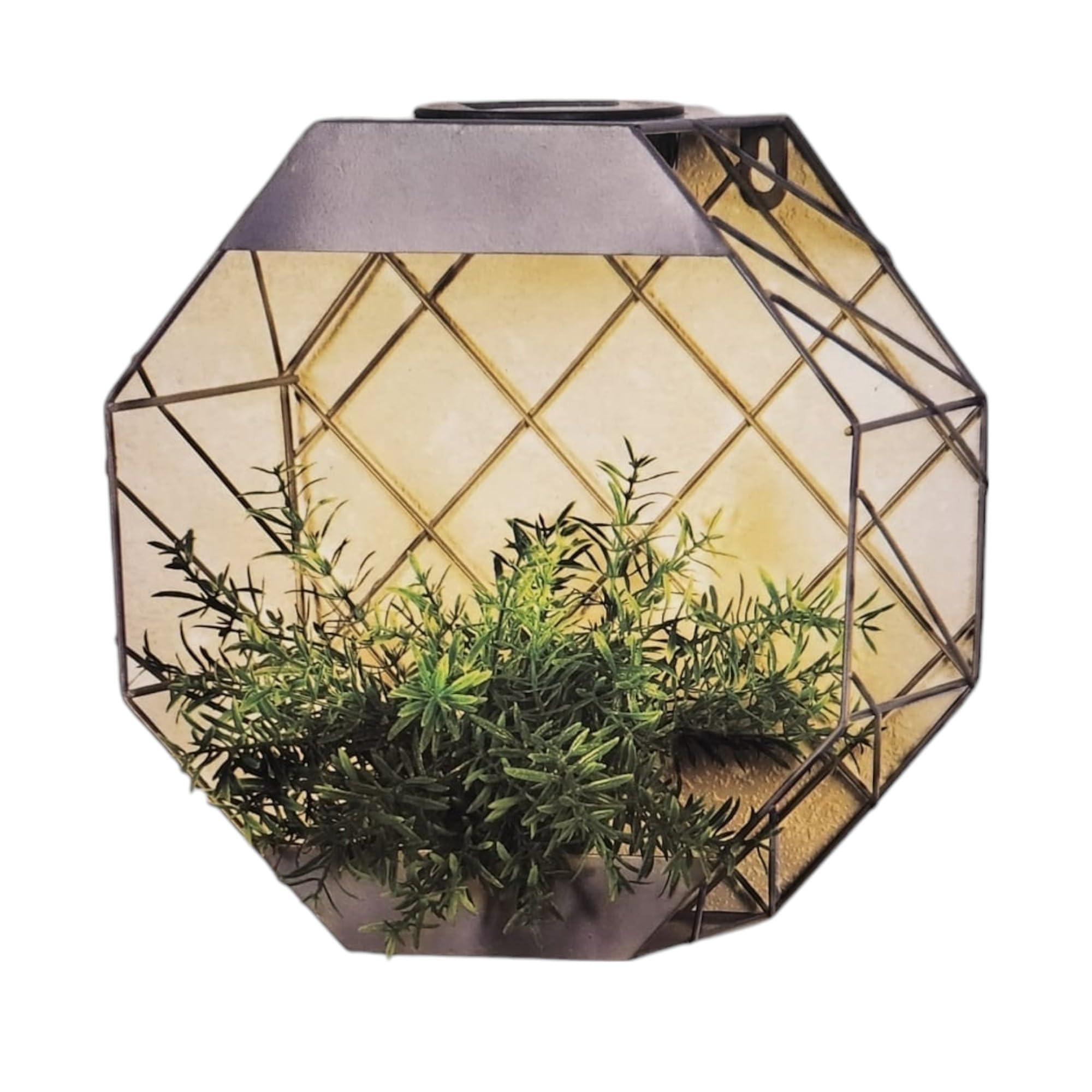 DIVAS SPIRITUAL Hexagonal Wall Planter Grey (Grey)