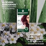 Herbatint 2N Brown Permanent Hair Dye Gel Ammonia Free Vegan Cruelty Free 60ml view 5