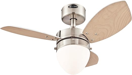 Westinghouse Lighting 7223400 Hayden Single Light 30 Inch