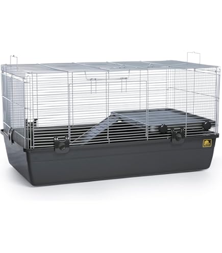 Amazon.com : SAVIC Ambiente Animal Cage with Hay Rack, Small, 100