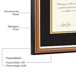 ArtToFrames 16x20 inch Diploma Frame & Certificate
