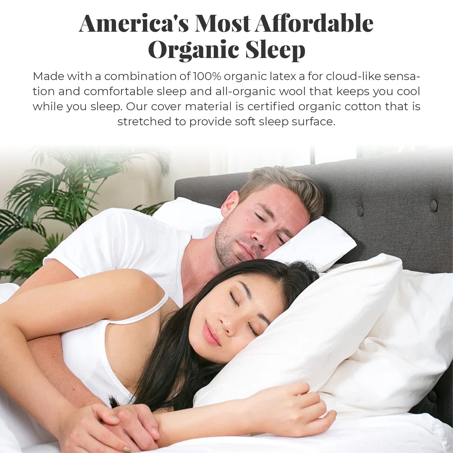 Latex for Less LFL2S0905 9 inch Queen Natural Latex