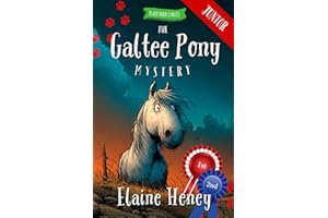 The Galtee Pony Mystery - Blackthorn Stables Junior