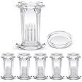 Sieral 6 Pieces Staining Jar 5 Slides Capacity Staining Tank 60 ml Glass Jar with Lid for Lab Microscope Supplies