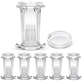 Sieral 6 Pieces Staining Jar 5 Slides Capacity Staining Tank 60 ml Glass Jar with Lid for Lab Microscope Supplies