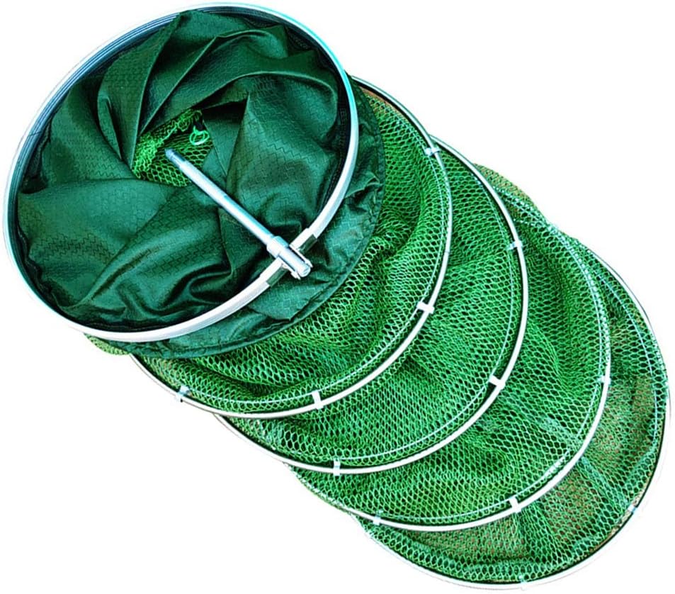 Daxin Double Stainless Steel Rings 5 Layers Collapsible Fish Care Net, Folding Shrimp Minnow Fishing Trap Dip Net, Cage 50kg Load : Sports & Outdoors