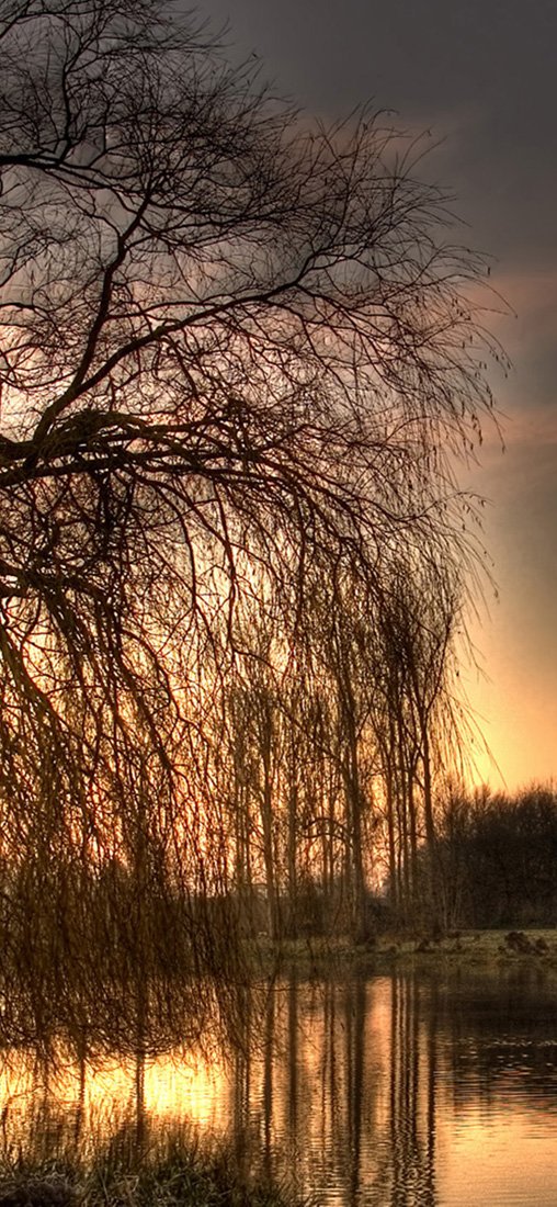 PeelitStickit ID-1122 60 Width x 130 cm Height Beautiful Nature Vinyl Wall Mural