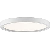 Quoizel Outskirts Round Flush Mount Ceiling Light, 11 Inch White Lustre, Dimmable Integrated LED 1500 Lumens, 14 W, Close to 