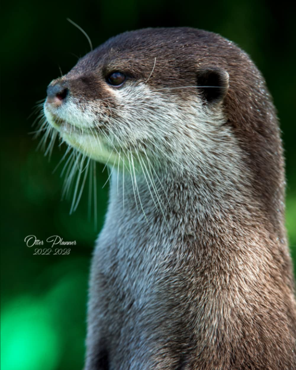 Otter Calendar 2023 Otter Planner 2022-2023: Daily, Weekly And Monthly Planner | Otter 2022-2023  Planner | Calendar And Organizer | 2022 – 2023 Two Year Planner | 24 ...  Sized, 263 Pages | Cute Otter Cover Design: Gifts, Otter: 9798491102143:  Amazon.com: Books