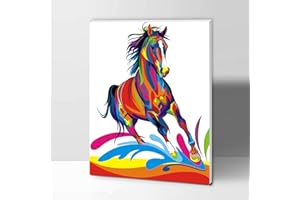 ifymei Paint by Numbers for Kids and Adults Beginner, DIY Gift Canvas Painting Kits with Frame, 12x16 Inch Colorful Horse